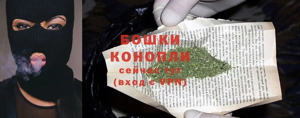 ECSTASY Кукмор