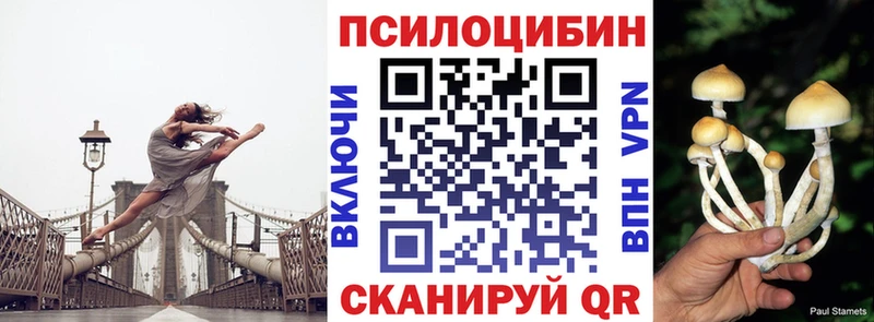 Галлюциногенные грибы Cubensis Михайловка